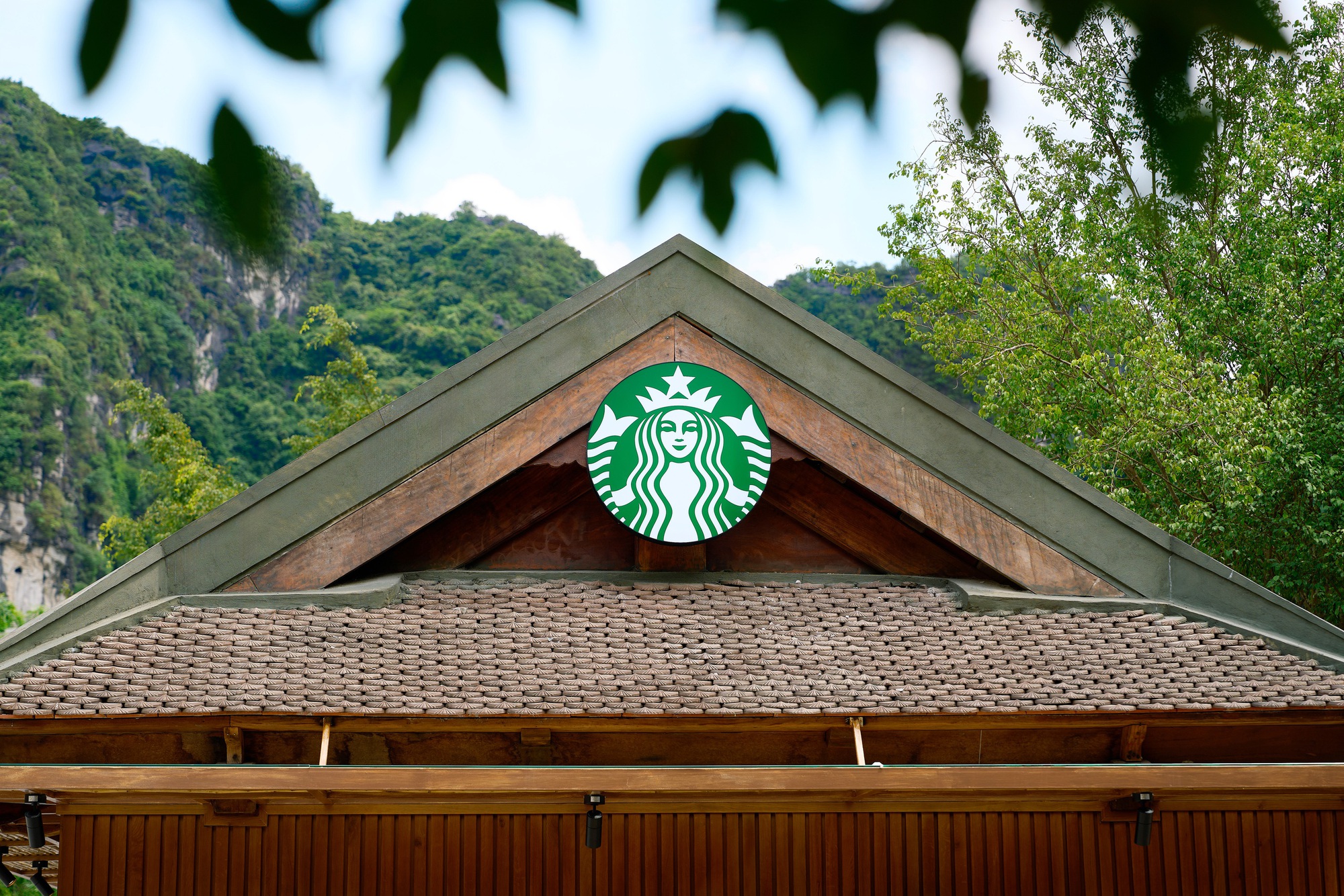 Starbucks lại gây sốt với chi nhánh mới nằm giữa núi non, khung cảnh khiến dân tình trầm trồ: 
