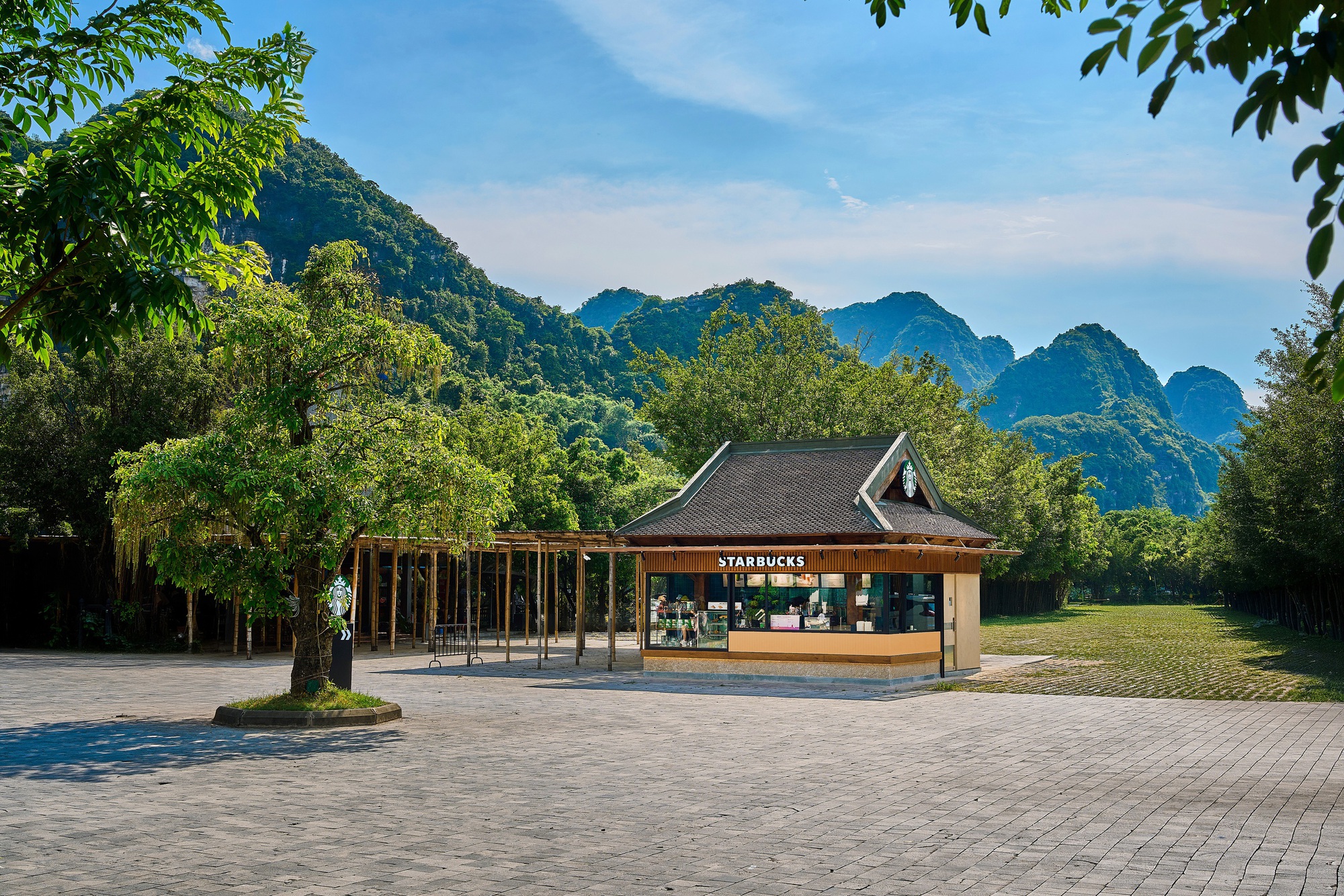 Starbucks lại gây sốt với chi nhánh mới nằm giữa núi non, khung cảnh khiến dân tình trầm trồ: 