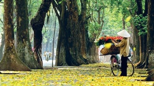 Mùa thu Hà Nội 'phủ sóng' cõi mạng, giới trẻ đua nhau 'chill' theo cách riêng- Ảnh 16.