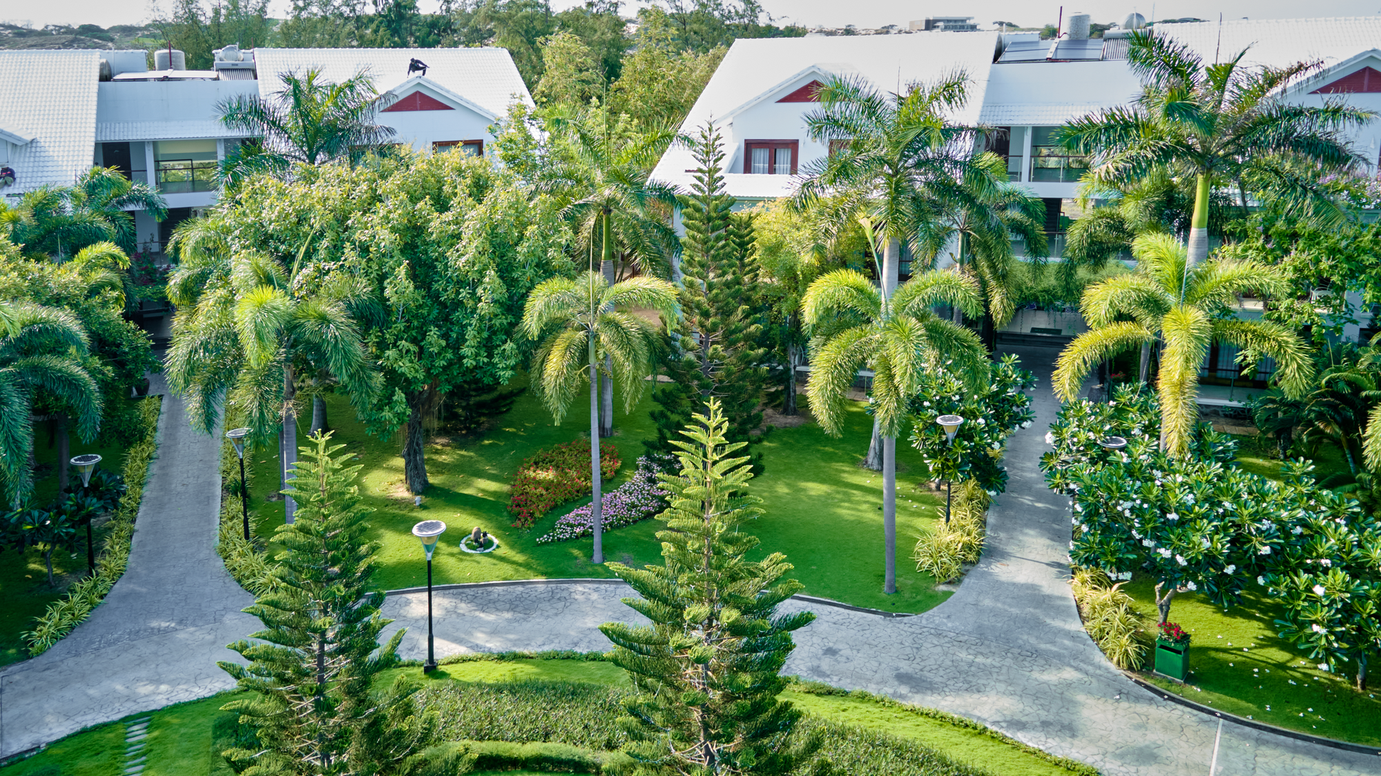 Carmelina Beach Resort Hồ Tràm - Resort ven biển 4 sao đầu tiên tại Việt Nam với sân Pickleball chuẩn quốc tế- Ảnh 2.