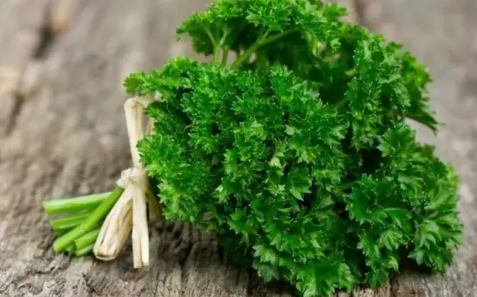 Loại rau được đánh giá "tốt bậc nhất thế giới", hoá ra là rau quen thuộc ở Việt Nam, ở quê mọc um tùm như cỏ- Ảnh 1.