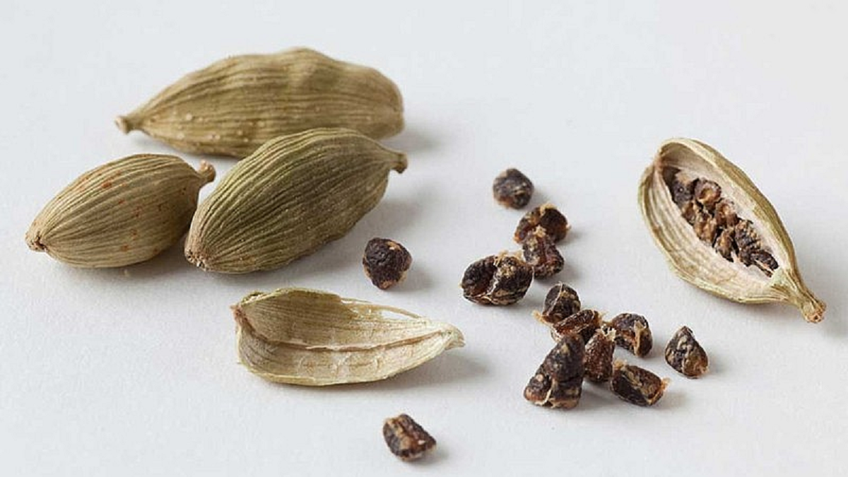 Loại quả được đánh giá "tốt bậc nhất thế giới" giá 2 triệu đồng/kg, ở Việt Nam trồng bạt ngàn- Ảnh 4.
