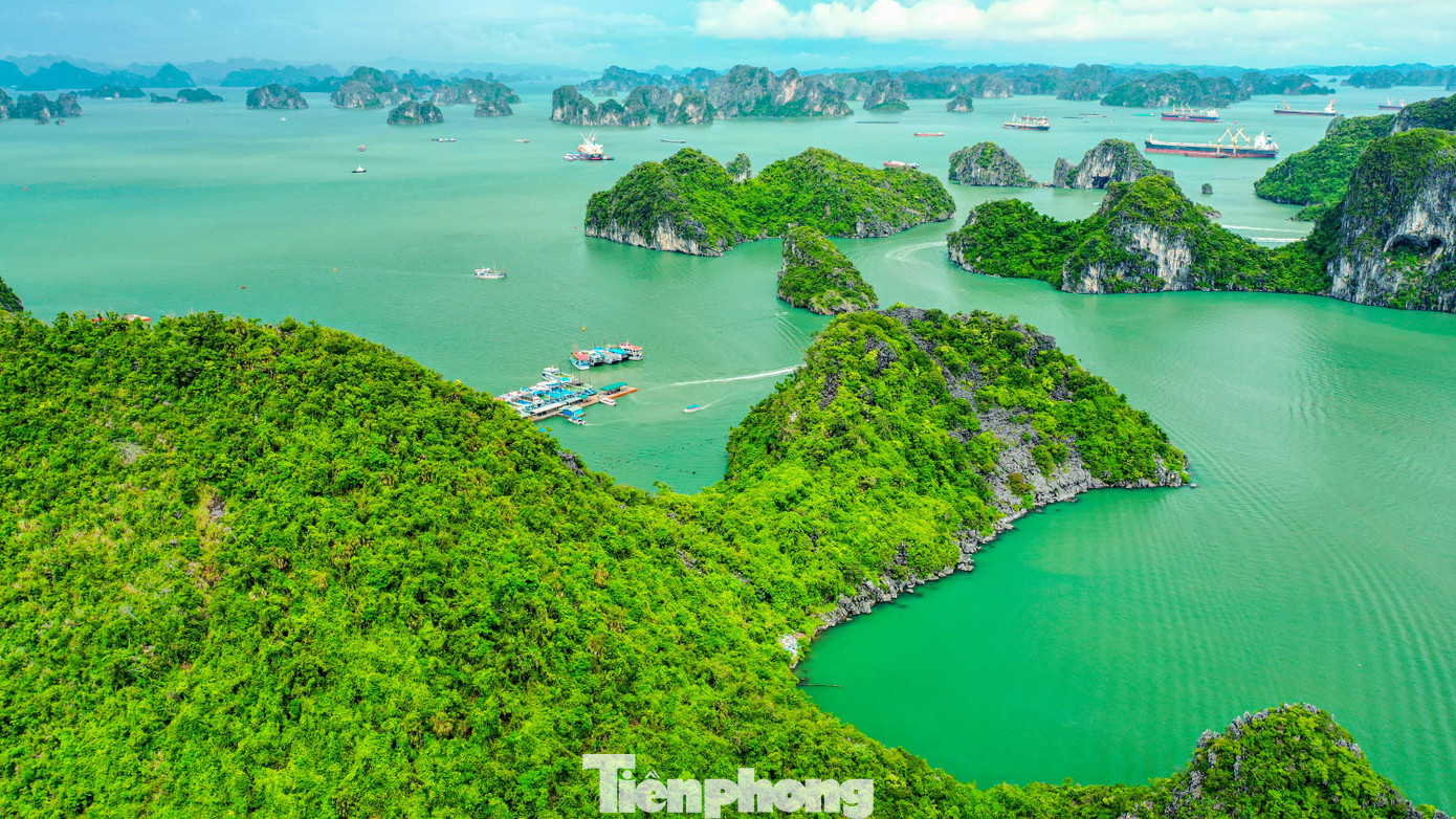 Vẻ đẹp của vịnh Hạ Long được 3 lần UNESCO công nhận là di sản- Ảnh 3.