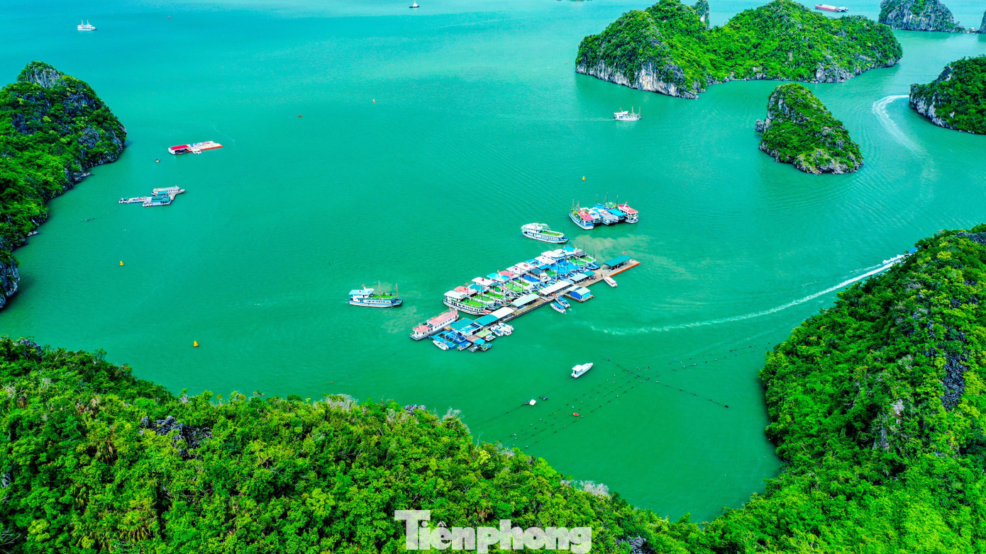 Vẻ đẹp của vịnh Hạ Long được 3 lần UNESCO công nhận là di sản- Ảnh 9.