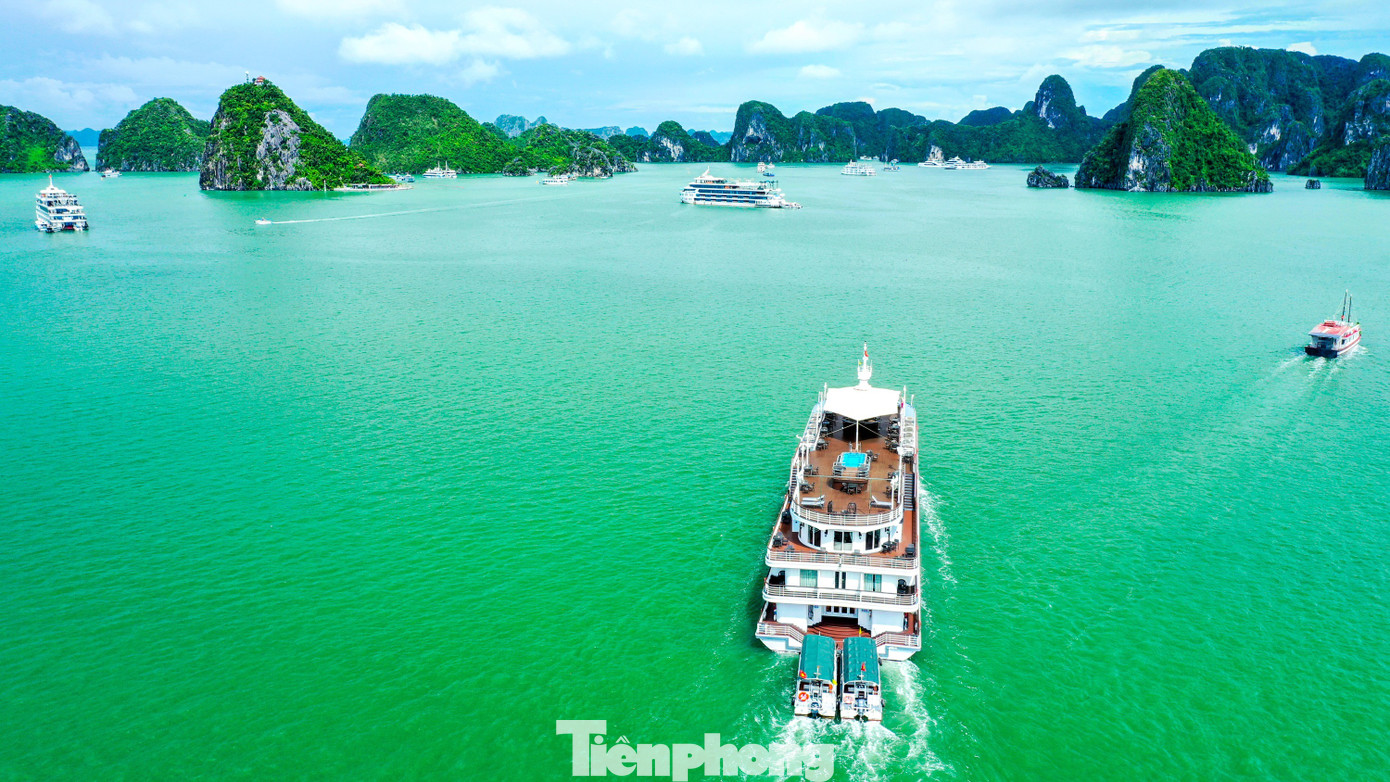 Vẻ đẹp của vịnh Hạ Long được 3 lần UNESCO công nhận là di sản- Ảnh 14.