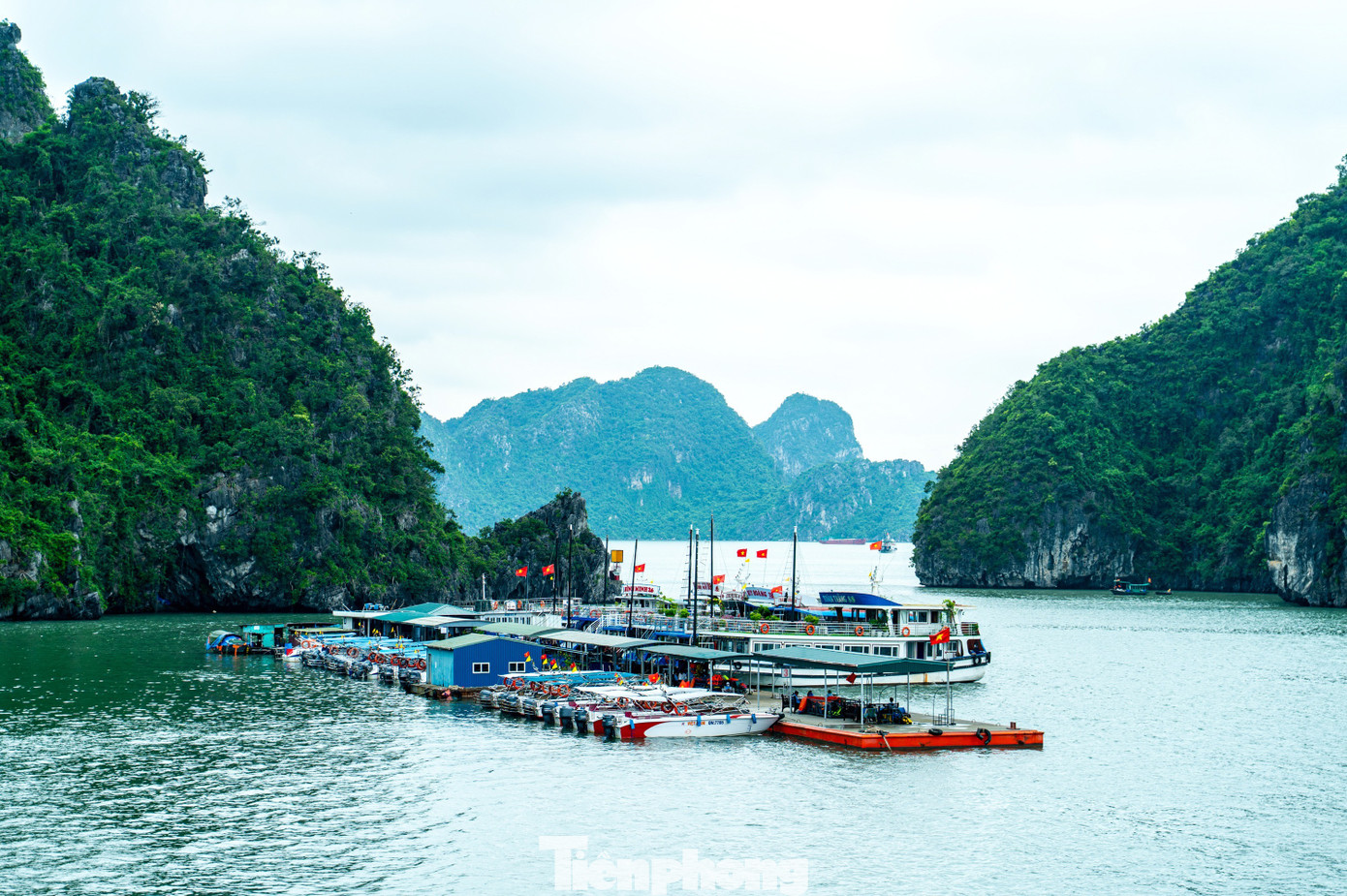 Vẻ đẹp của vịnh Hạ Long được 3 lần UNESCO công nhận là di sản- Ảnh 10.
