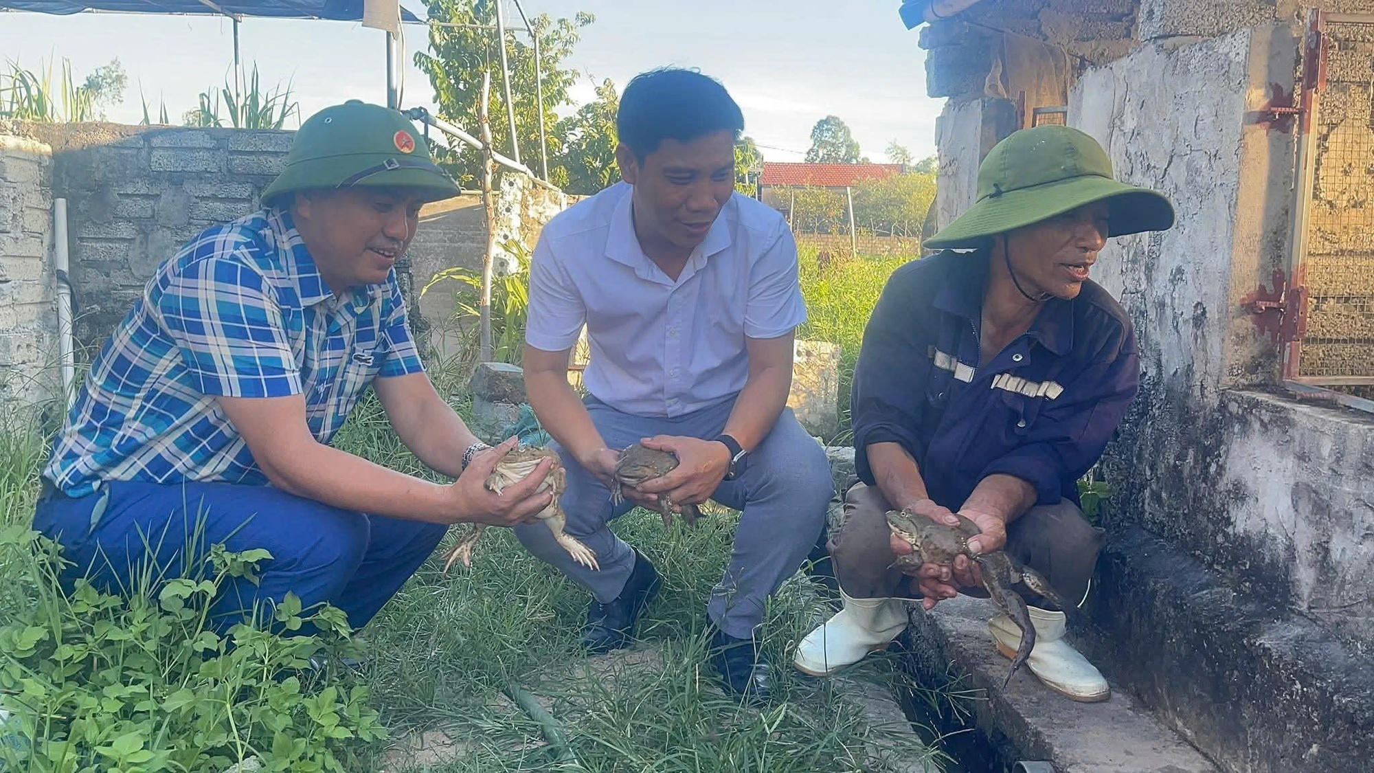 Nuôi con ngồi “chồm hổm”, lão nông lãi hơn nửa tỷ mỗi năm- Ảnh 7.