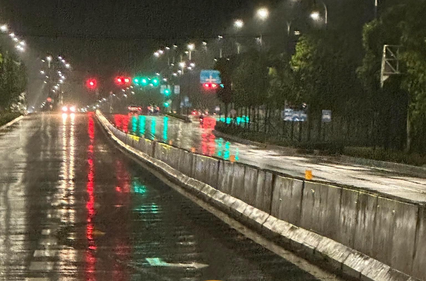 Phát hiện thi thể không nguyên vẹn trên đường ở TPHCM- Ảnh 2.