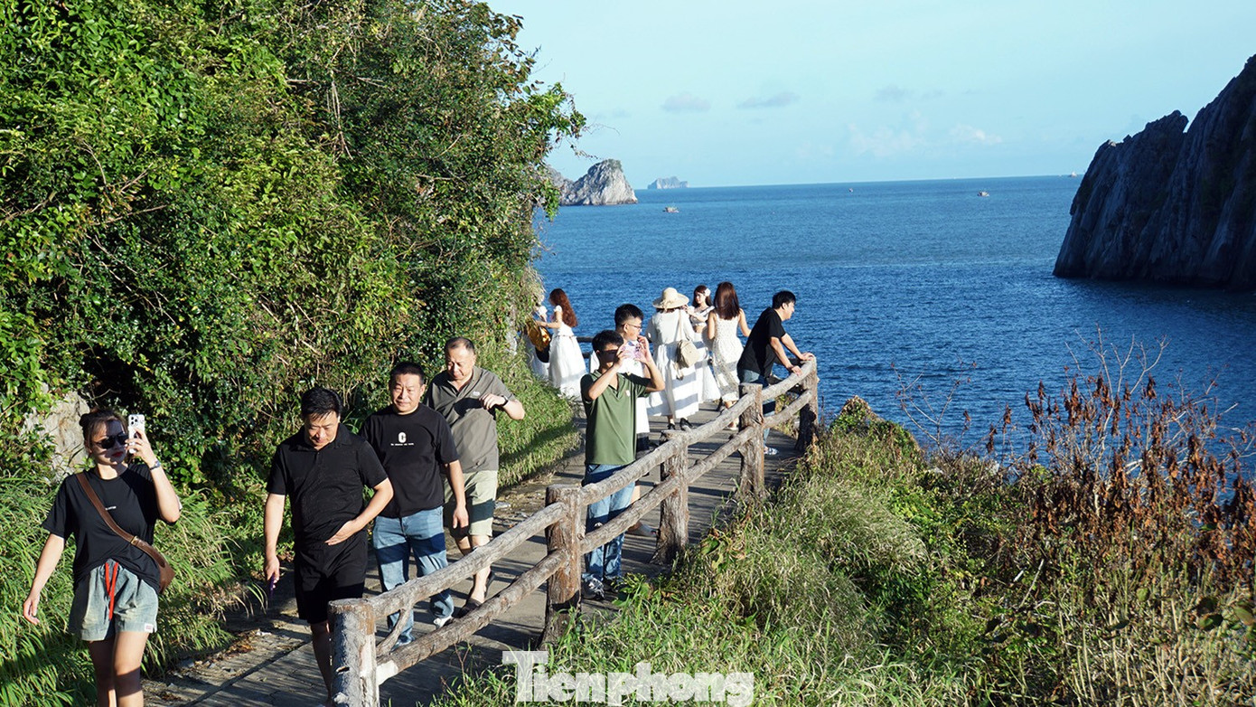 Du khách mê đắm check-in ở Cát Bà- Ảnh 8.