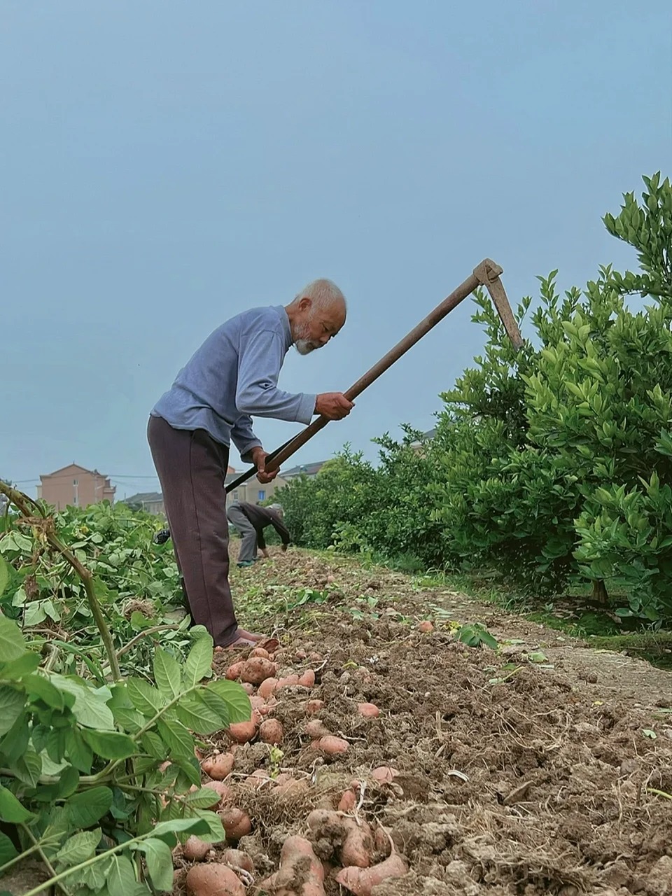 Nghe cháu đích tôn nói 7 từ, ông nội quyết định khăn gói trở về quê ngay trong đêm: Sống không tự do, sống làm gì...- Ảnh 1.