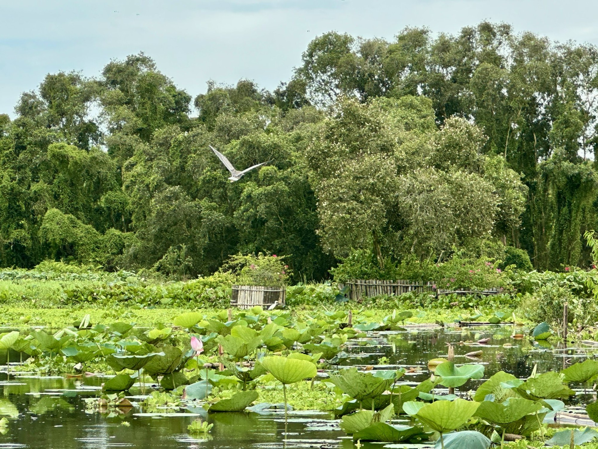 An Giang: điểm hẹn tâm linh và sinh thái của Đồng bằng sông Cửu Long- Ảnh 6.