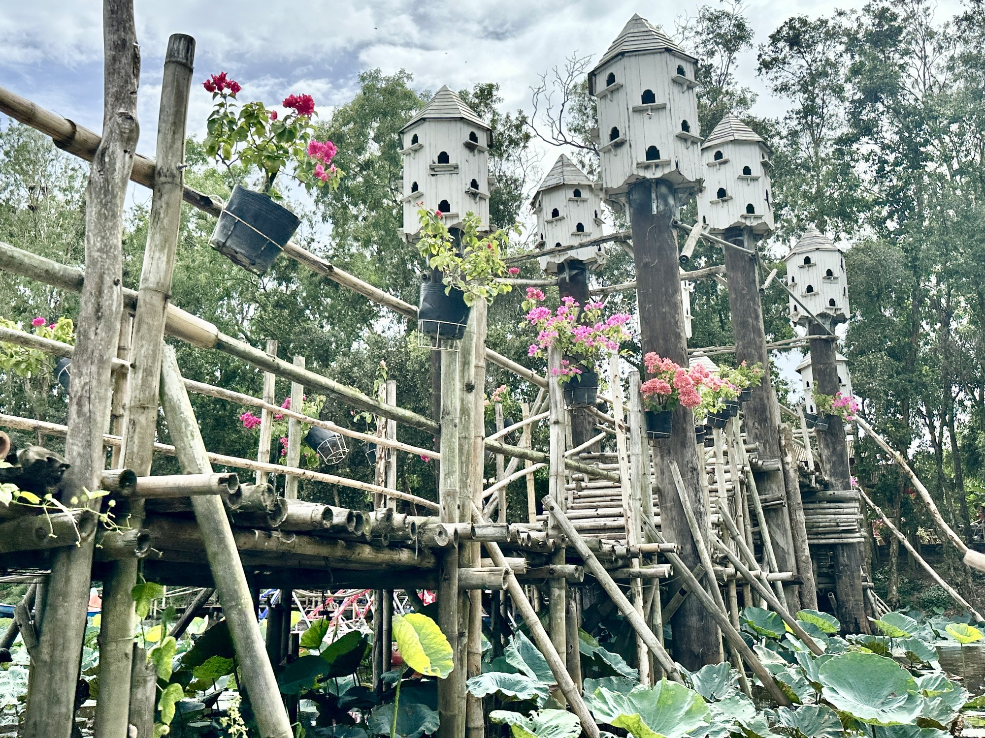 An Giang: điểm hẹn tâm linh và sinh thái của Đồng bằng sông Cửu Long- Ảnh 8.