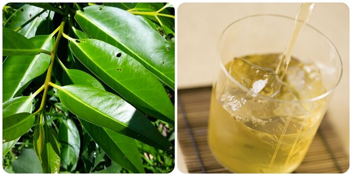 2 thời điểm không nên uống nước lá vối- Ảnh 1.