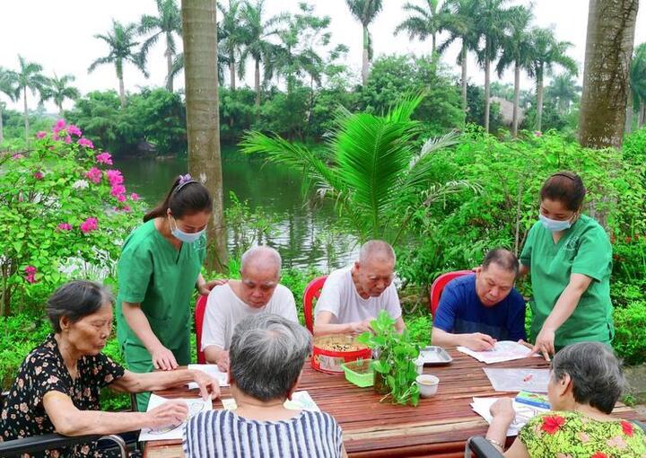 Bất động sản dưỡng lão: 'Miền đất hứa' mới của nhà đầu tư tại Việt Nam- Ảnh 1.