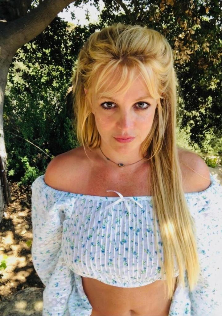 Có ai cứu được Britney Spears?- Ảnh 3.