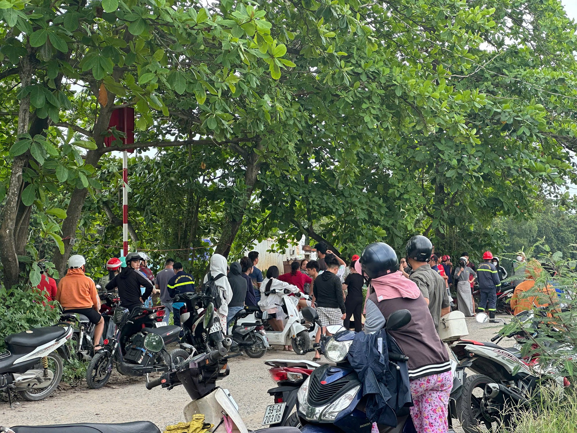 Thi thể nam sinh dưới chân cầu ở TP HCM- Ảnh 1.