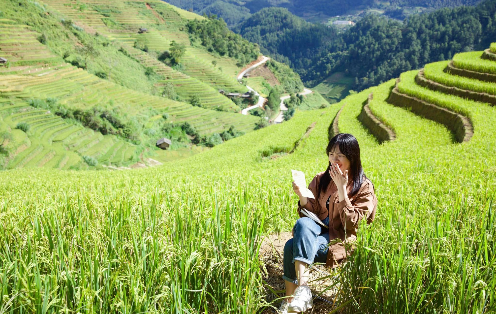 Mùa vàng trên non cao mời gọi bước chân lữ khách- Ảnh 12.
