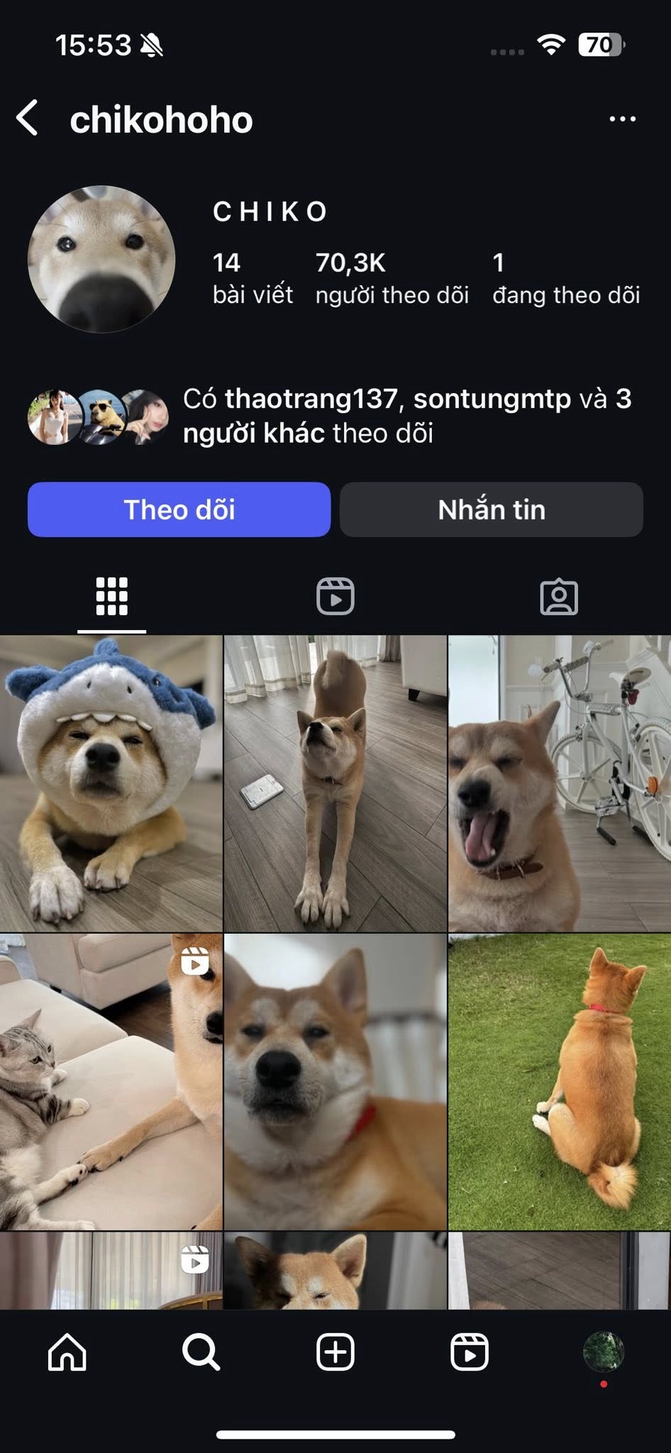 Nhà Sơn Tùng M-TP có 2 con "lông lá" bị gọi là "nỗi phiền phức", hóa ra cũng là "hot face" nổi tiếng- Ảnh 5.