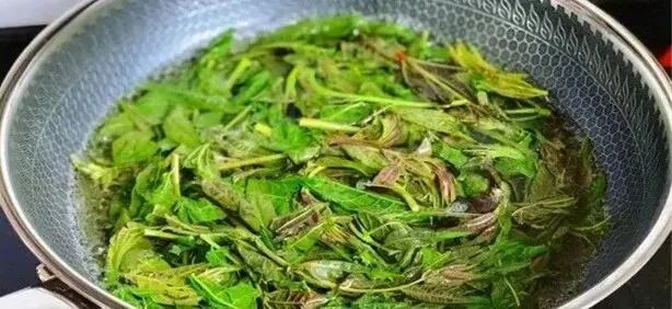 4 loại rau này không chần nước sôi coi chừng cả nhà trúng độc, loại thứ 2 rất nhiều người mê- Ảnh 3.