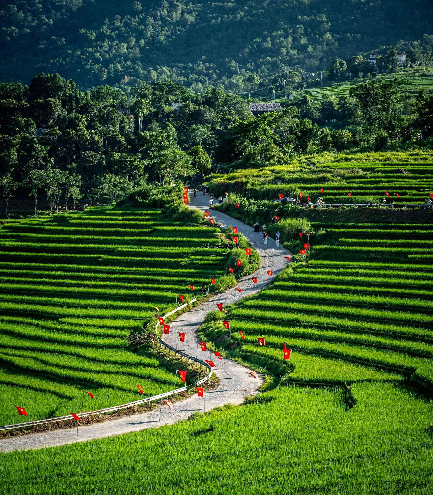 Du khách thích thú với đường cờ Tổ quốc đẹp như tranh vẽ ở Pù Luông- Ảnh 1.