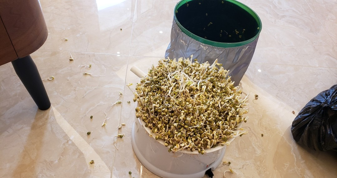 Khuyên thật ĐỪNG MUA 6 