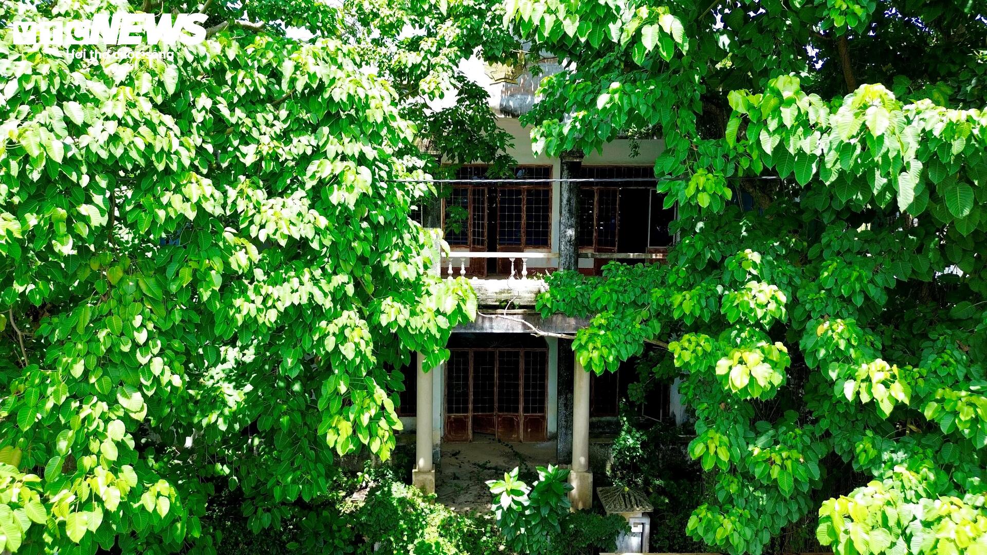 Rợn người trong các nhà công sản bỏ hoang sau hơn 20 năm chuyển trung tâm hành chính- Ảnh 5.