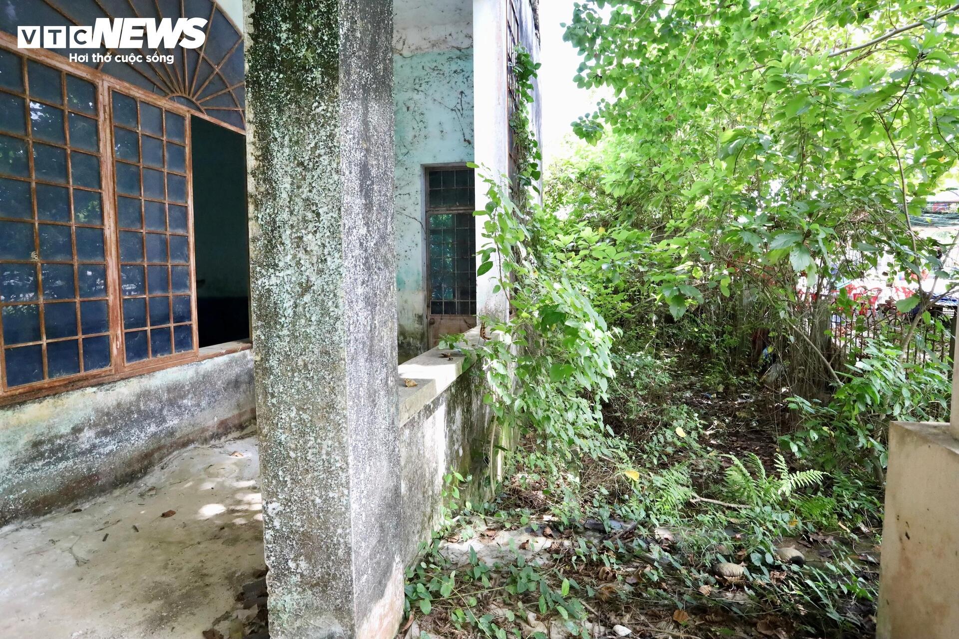 Rợn người trong các nhà công sản bỏ hoang sau hơn 20 năm chuyển trung tâm hành chính- Ảnh 11.
