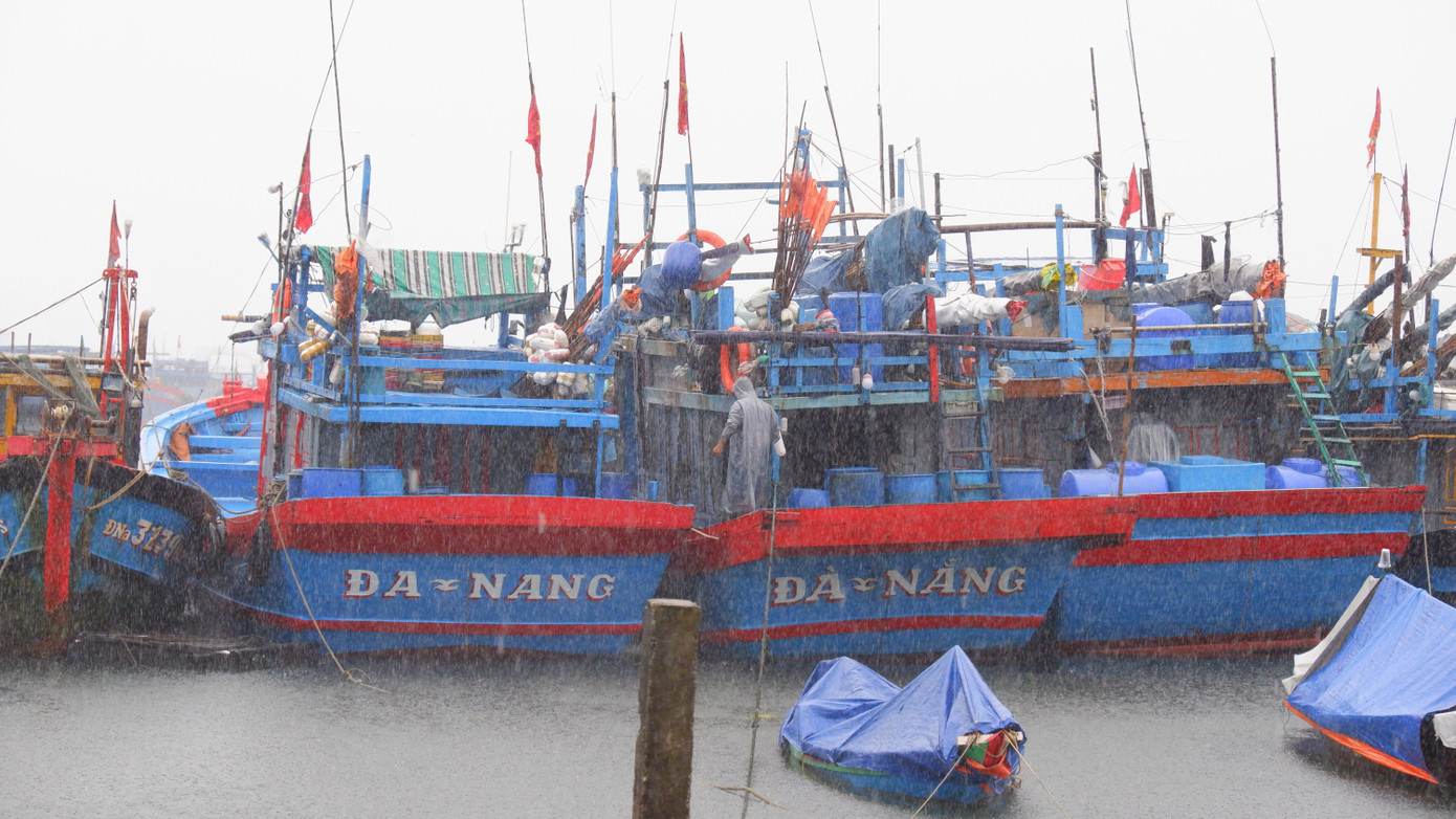 Ứng phó siêu bão Ragasa: Đà Nẵng sẵn sàng cấm biển, Lào Cai sẽ di dời dân để tránh sạt lở- Ảnh 1.