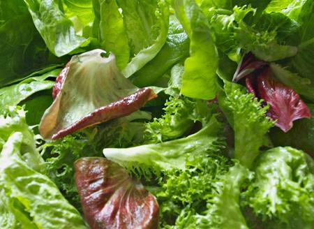 Loại rau được đánh giá "tốt bậc nhất thế giới", hoá ra là rau bình dân rẻ bèo ở Việt Nam- Ảnh 1.