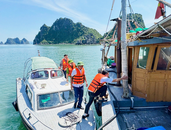 Quảng Ninh huy động hơn 3.000 cán bộ, chiến sĩ ứng phó bão số 9- Ảnh 3.
