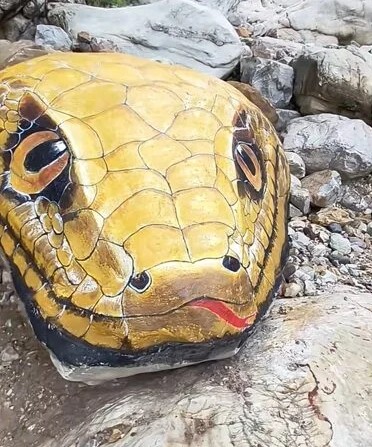 "Trăn khổng lồ" giữa suối khiến du khách hoảng sợ, ban quản lý nói: Nó đã ở đây hàng trăm triệu năm- Ảnh 2.