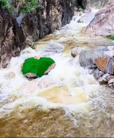 "Trăn khổng lồ" giữa suối khiến du khách hoảng sợ, ban quản lý nói: Nó đã ở đây hàng trăm triệu năm- Ảnh 4.