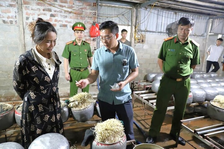 Phát hiện cơ sở dùng chất cấm để sản xuất giá đỗ số lượng lớn- Ảnh 2.