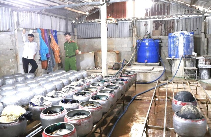 Phát hiện cơ sở dùng chất cấm để sản xuất giá đỗ số lượng lớn- Ảnh 1.