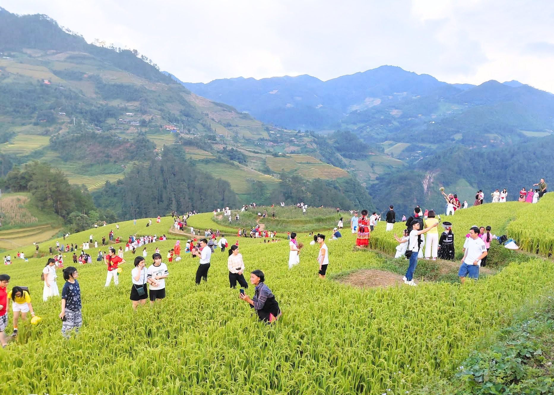 Cảnh tượng diễn ra giữa ruộng bậc thang Mù Cang Chải khiến nhiều người ngỡ ngàng: Hoá ra đây là lý do homestay thi nhau "cháy" phòng- Ảnh 5.
