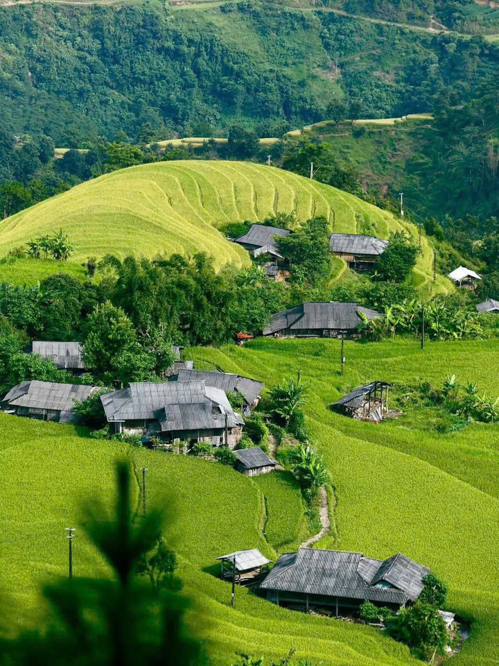 Ngắm những thửa ruộng bậc thang tuyệt đẹp ở Hoàng Su Phì- Ảnh 2.