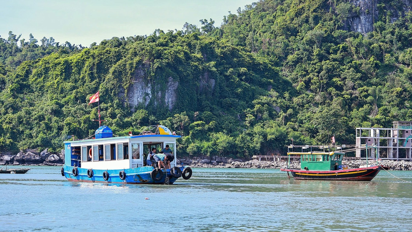 Đặc khu Cát Hải, Bạch Long Vĩ sơ tán người dân trước giờ bão số 9 đổ bộ- Ảnh 9.