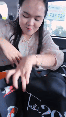 Tiểu thư Quỳnh Anh 