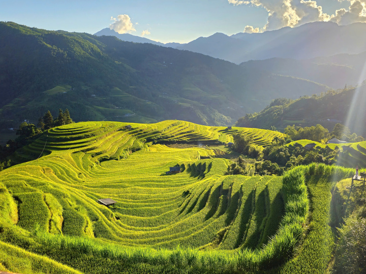 Ngắm những thửa ruộng bậc thang tuyệt đẹp ở Hoàng Su Phì- Ảnh 1.