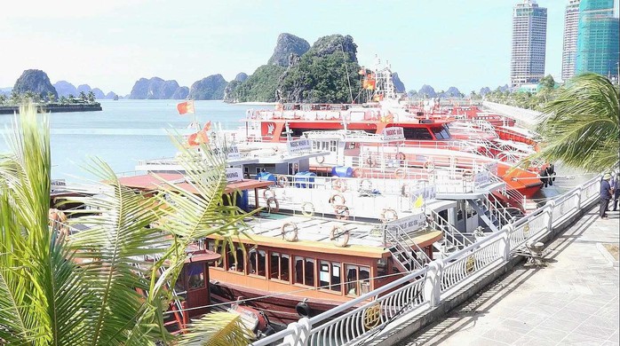 Quảng Ninh huy động xe đặc chủng chống bão số 9- Ảnh 4.