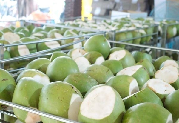 Vượt Trung Quốc, Mỹ chi hơn 2.100 tỷ để nhập một “sản vật” của Việt Nam, hơn 40 quốc gia cũng đặt hàng- Ảnh 2.