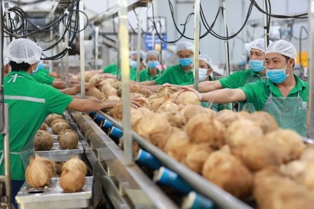 Vượt Trung Quốc, Mỹ chi hơn 2.100 tỷ để nhập một “sản vật” của Việt Nam, hơn 40 quốc gia cũng đặt hàng- Ảnh 3.