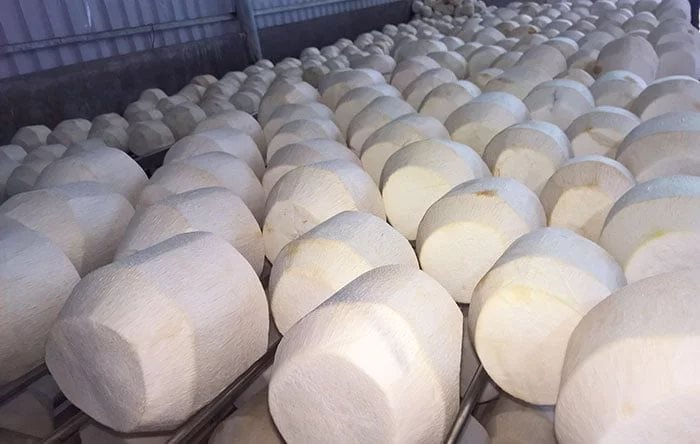 Vượt Trung Quốc, Mỹ chi hơn 2.100 tỷ để nhập một “sản vật” của Việt Nam, hơn 40 quốc gia cũng đặt hàng- Ảnh 1.