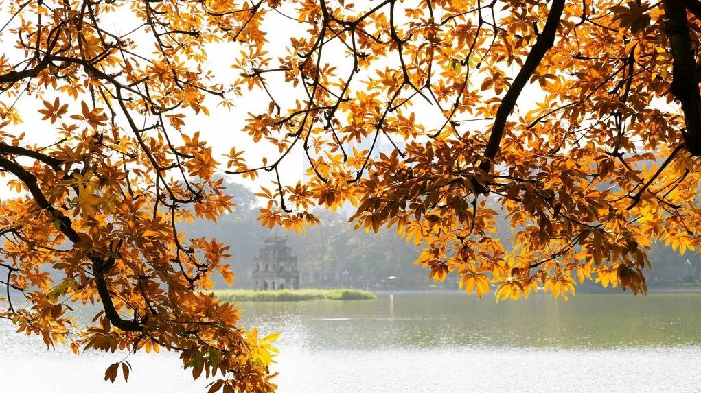 Ngang hàng Kyoto và Nami, thành phố duy nhất của Việt Nam lọt Top 7 điểm đến mùa thu đẹp nhất châu Á- Ảnh 1.