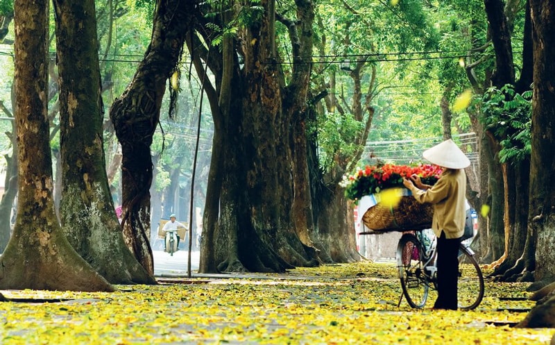 Ngang hàng Kyoto và Nami, thành phố duy nhất của Việt Nam lọt Top 7 điểm đến mùa thu đẹp nhất châu Á- Ảnh 2.