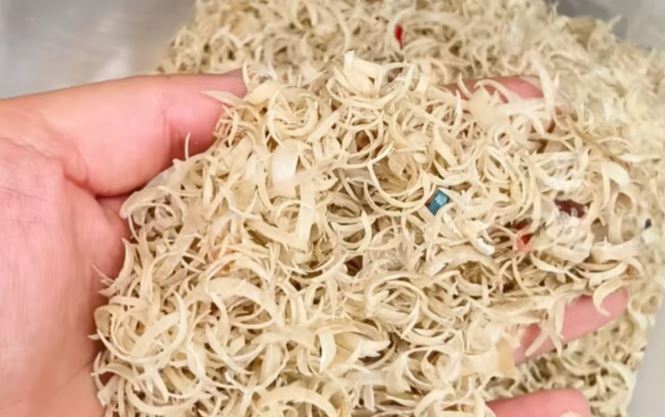 Thứ vô giá trị không ai thèm "ngó" không ngờ được thu mua với giá hơn 500.000 đồng/kg- Ảnh 1.