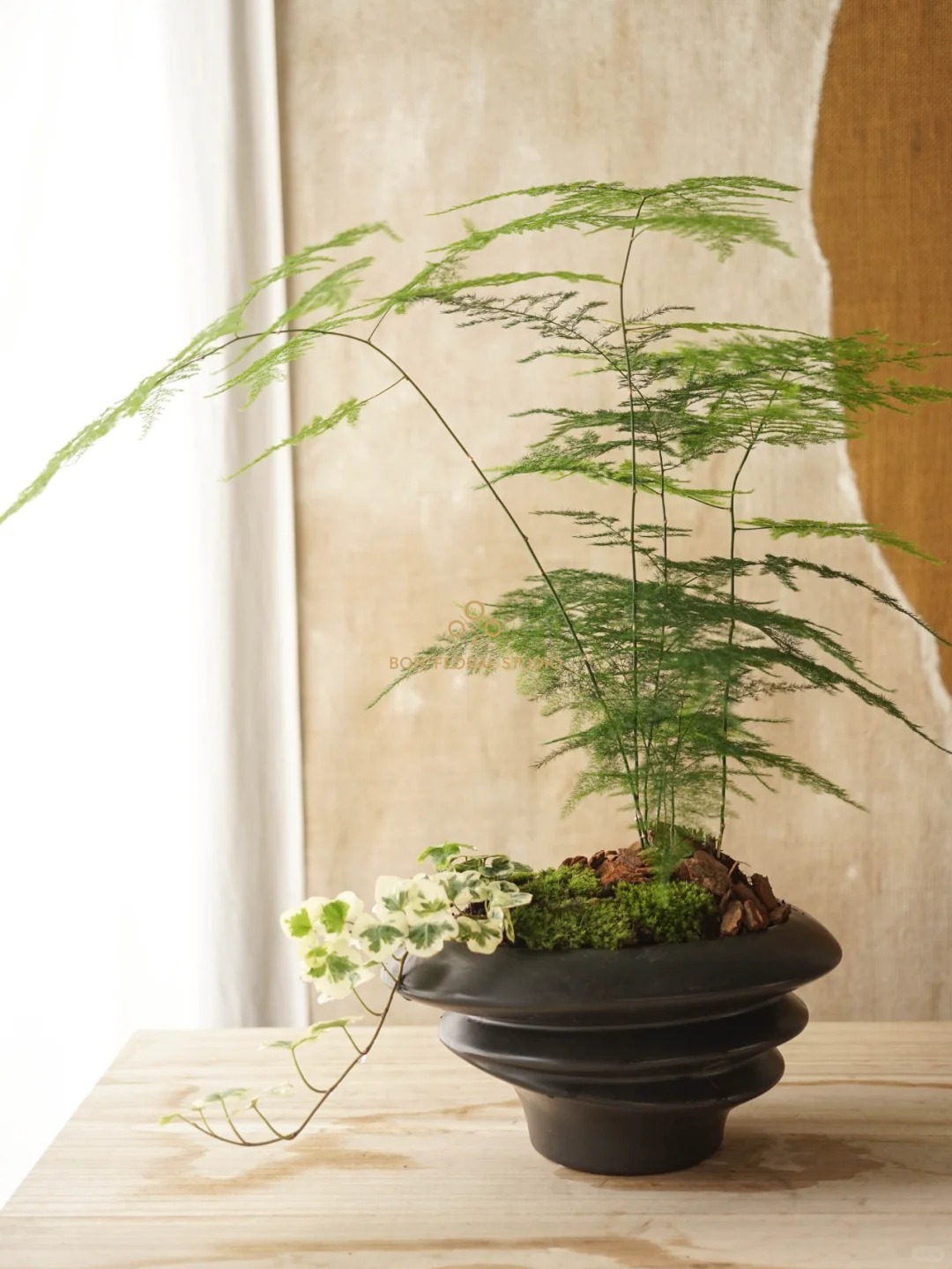 Đặt 1 trong 4 loại c&acirc;y n&agrave;y ở nh&agrave;: T&agrave;i lộc, may mắn k&eacute;o đến ầm ầm- Ảnh 4.