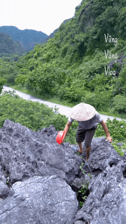 Không phải dê núi và cơm cháy, thứ 