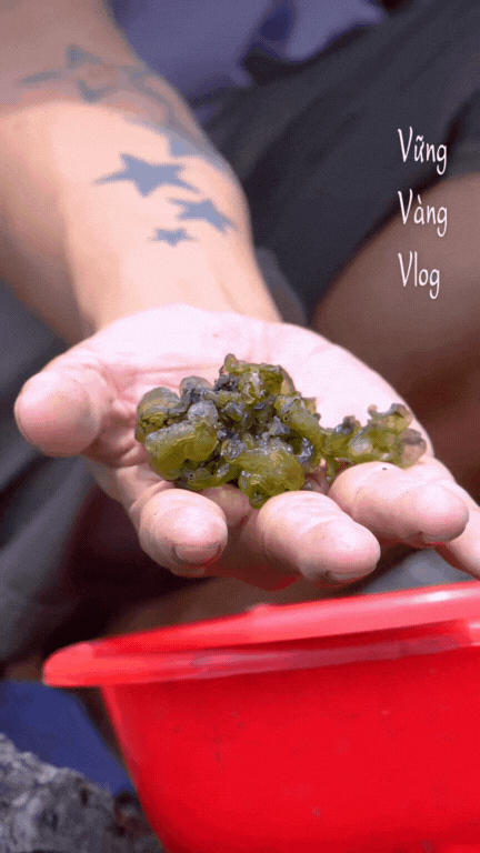 Không phải dê núi và cơm cháy, thứ 