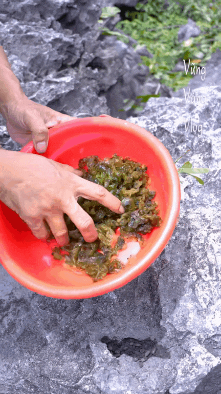 Không phải dê núi và cơm cháy, thứ 